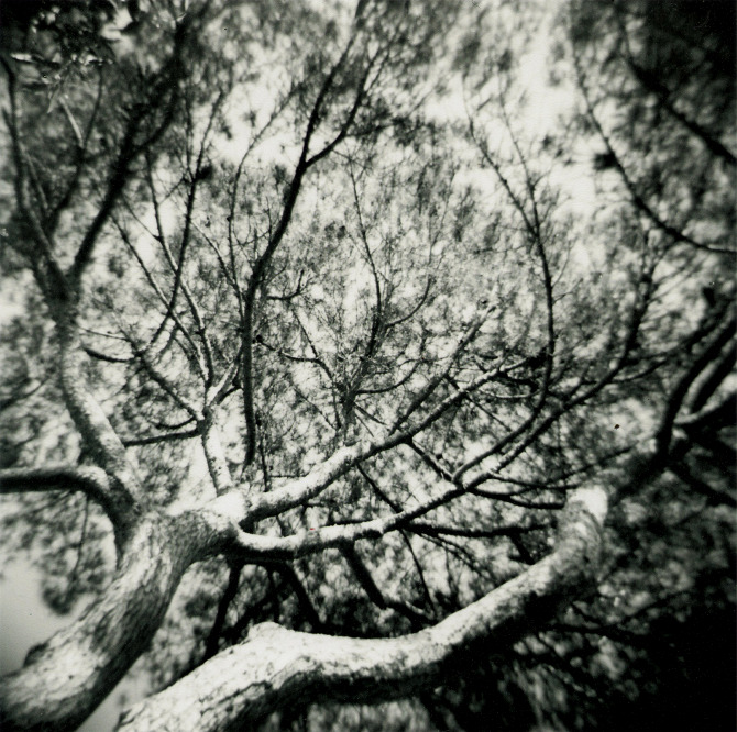 Tripping the light fantastic - josephwray.com