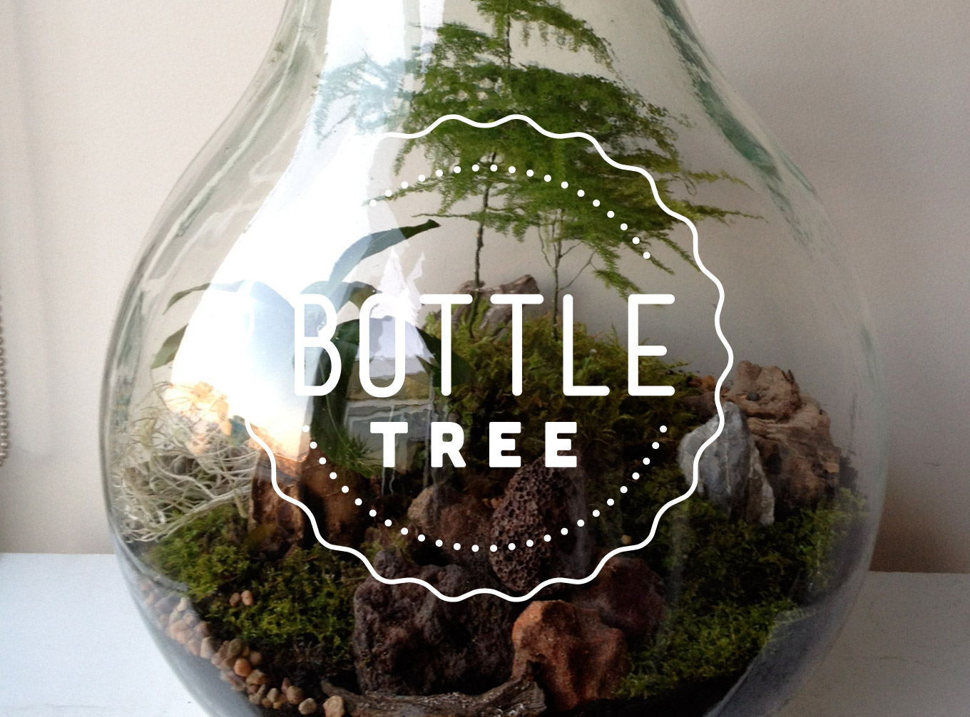 Branding Studio Papa