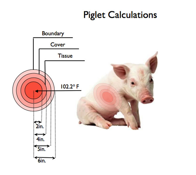 Biological Heat and Mass Transfer Adam Poetter
