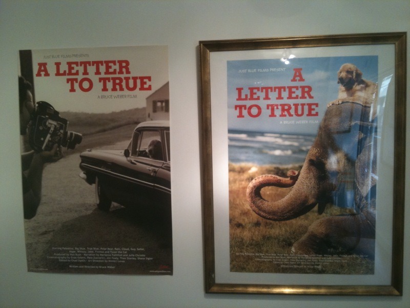Bruce Weber Movie Poster Exhibition - The Beach Gallery