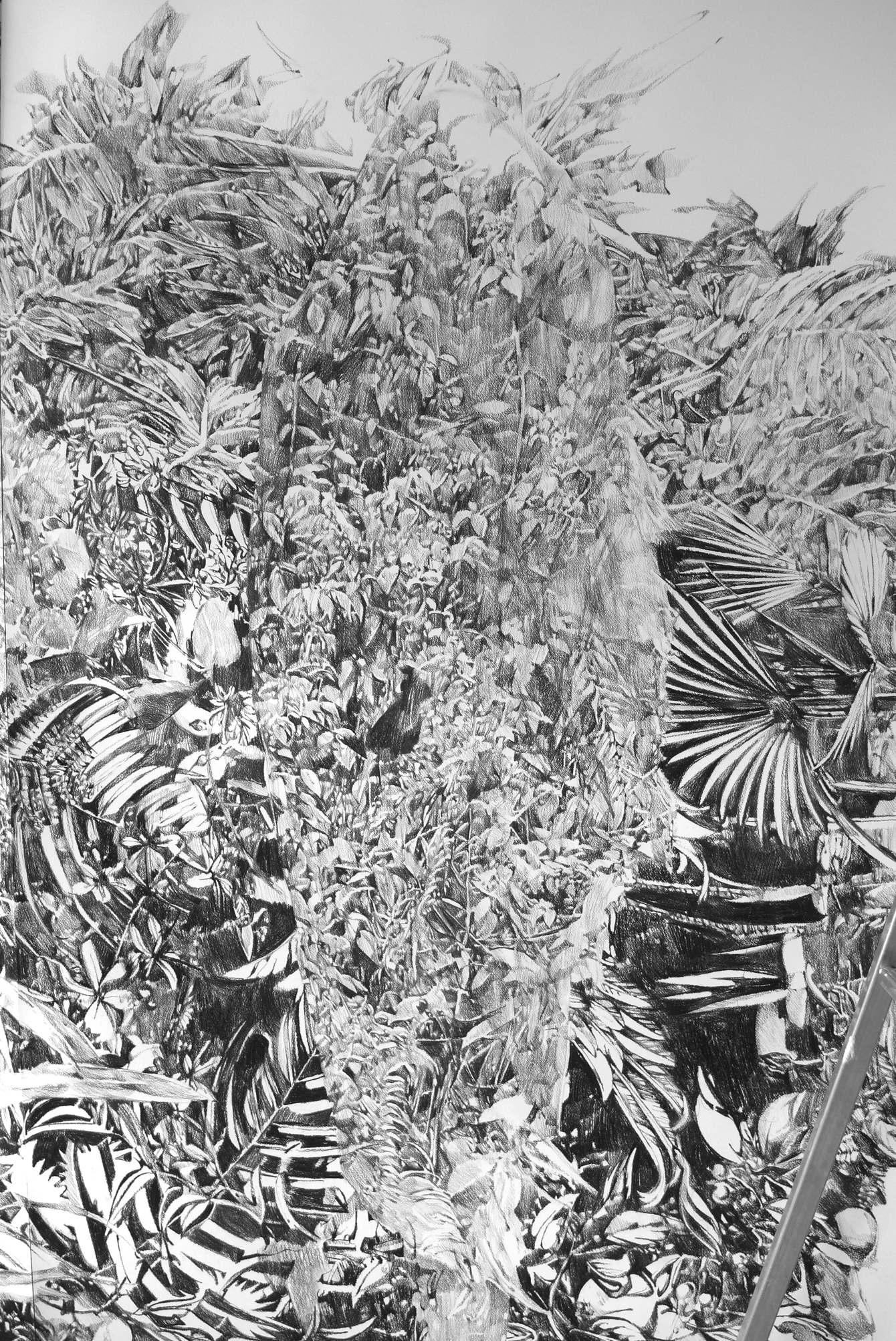 les Metamorphoses Anouk Griffioen