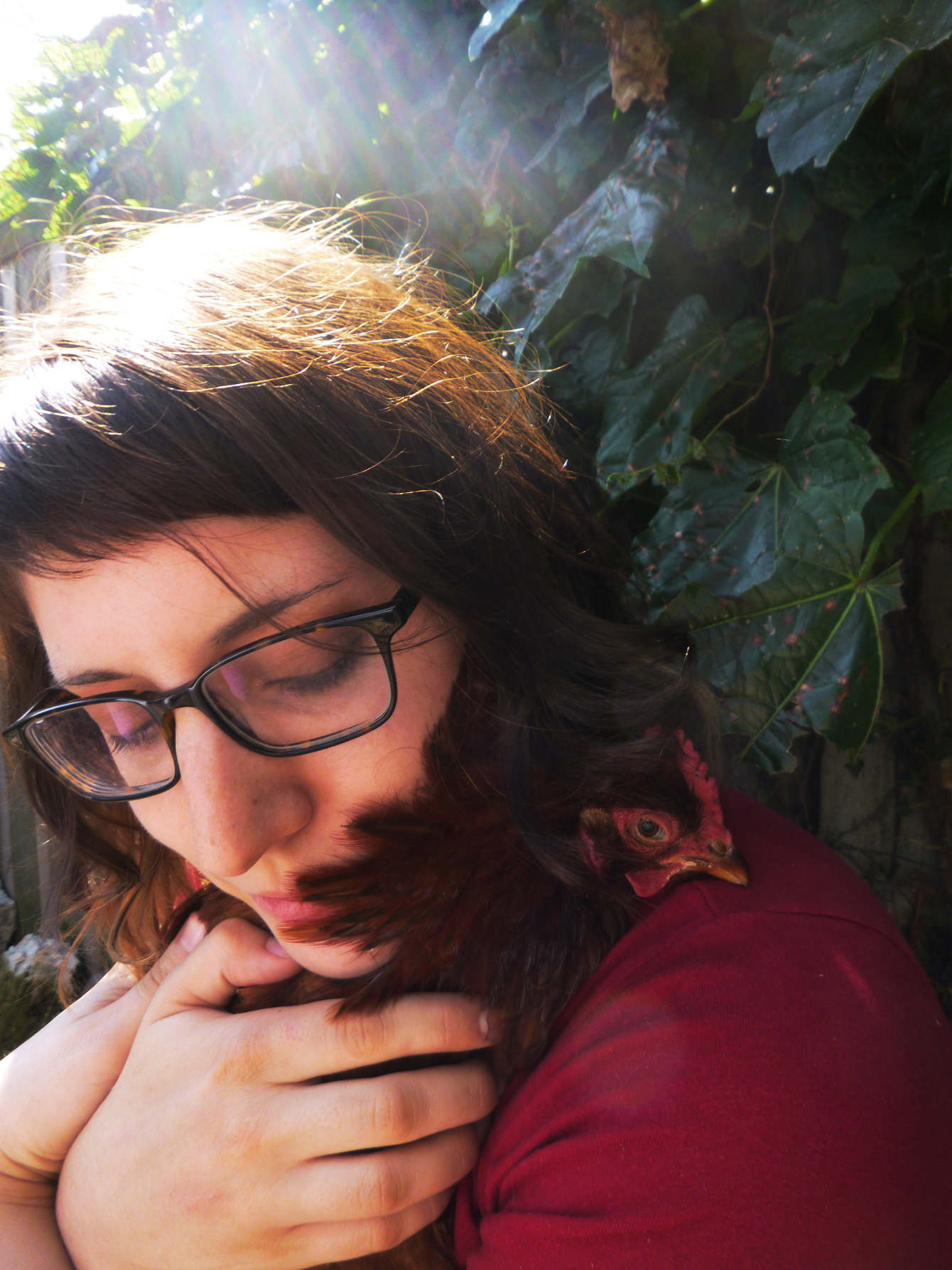 chicken rescue centres near me