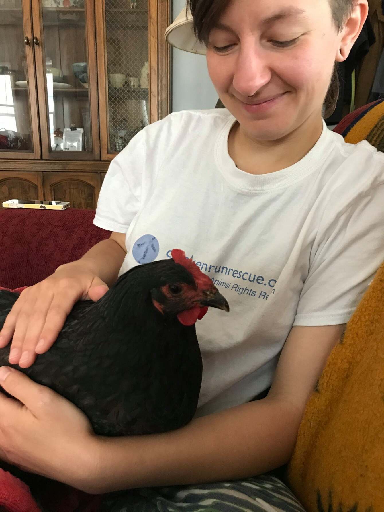 a Chicken Foster! CRR
