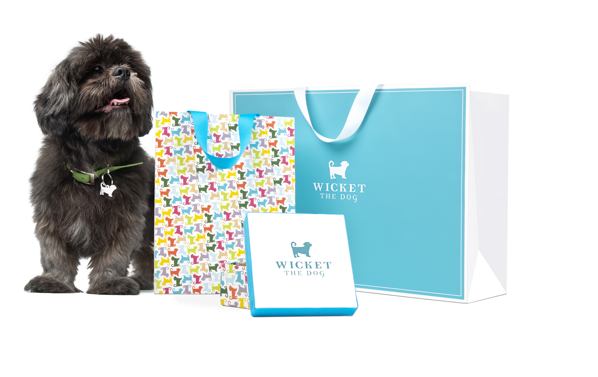 Wicket the Dog Shannon Hartmark