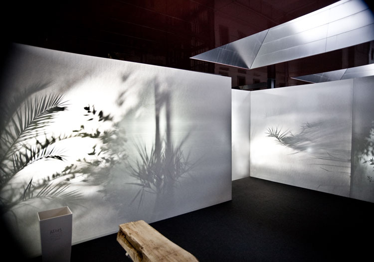 Dancing Trees Www Luisurculo Com