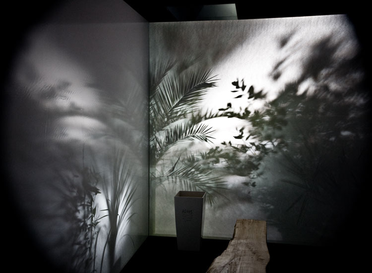 Dancing Trees Www Luisurculo Com