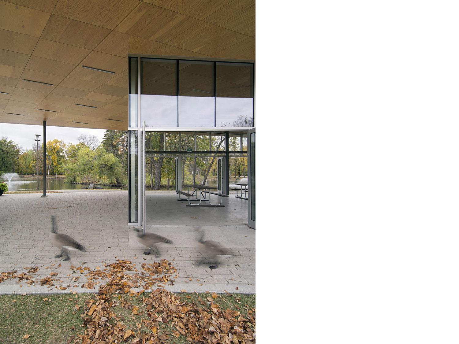 St Vital Park Pavilion 1x1 architecture