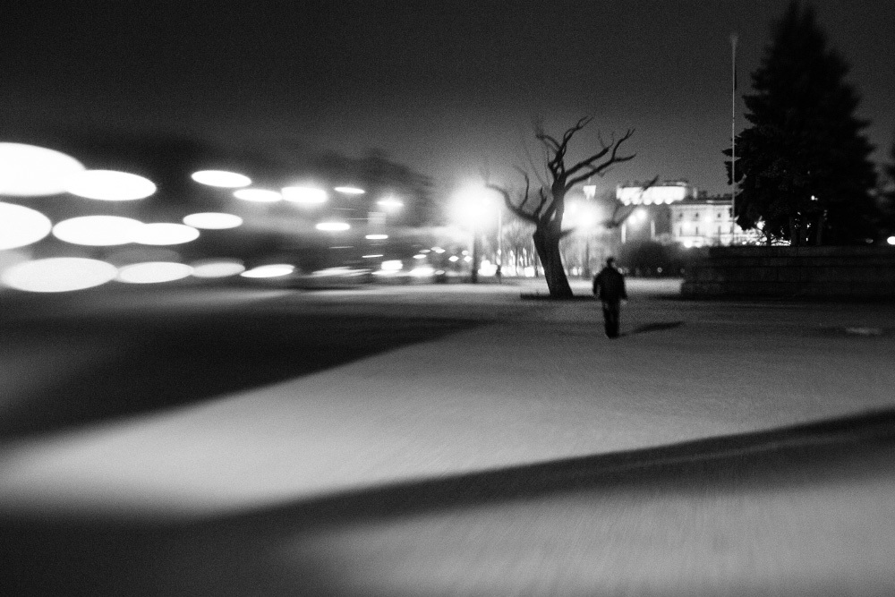 вся правда о медведях ледяные ночи белого. холодные ночи белого 2. луна снег. крылья на снегу. зима ночью цвета.