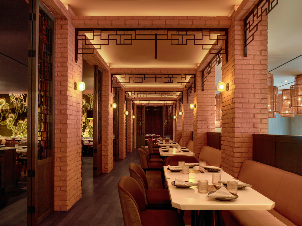 Planta Queen Scott Norsworthy