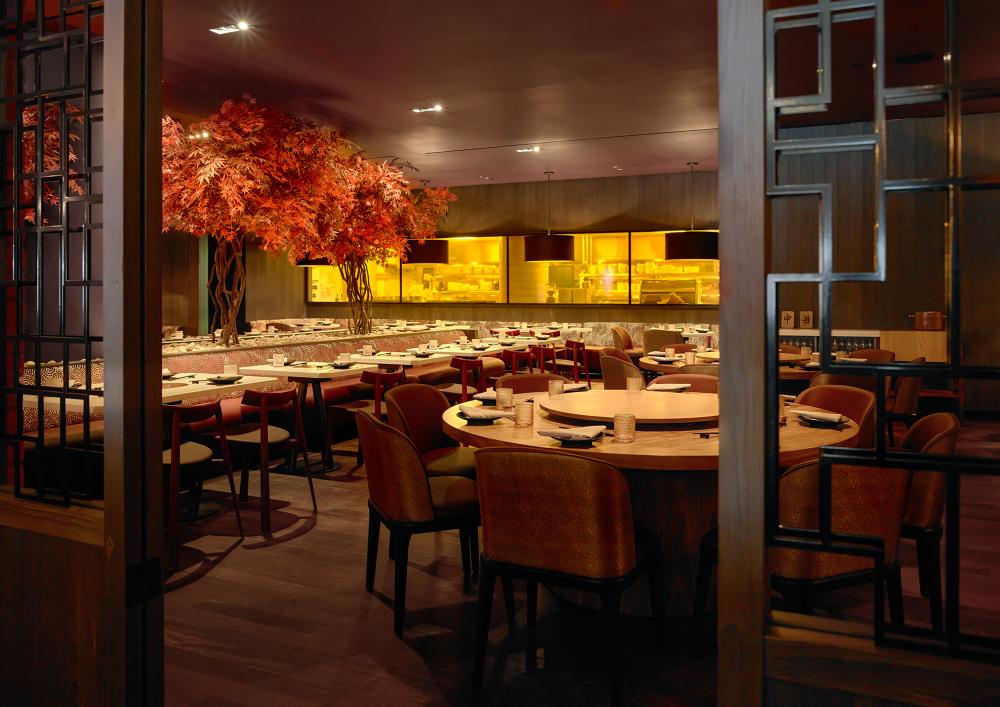 Planta Queen Scott Norsworthy