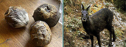 Diary 08 Jparchitects