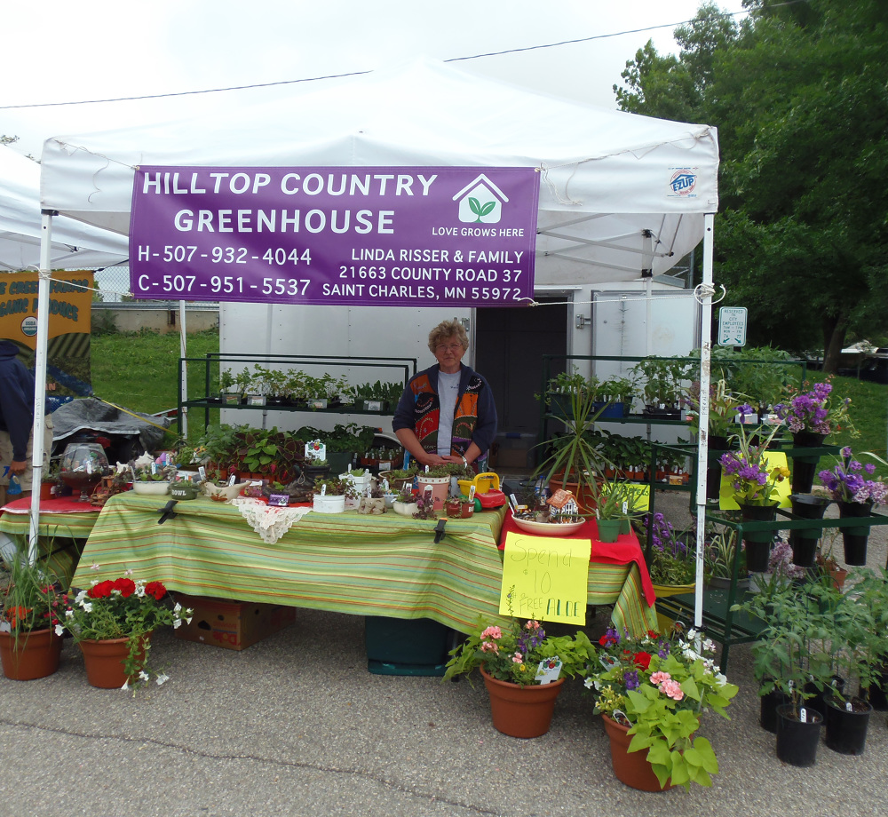 Hilltop Country Greenhouse Cassandra Hendrix Portfolio