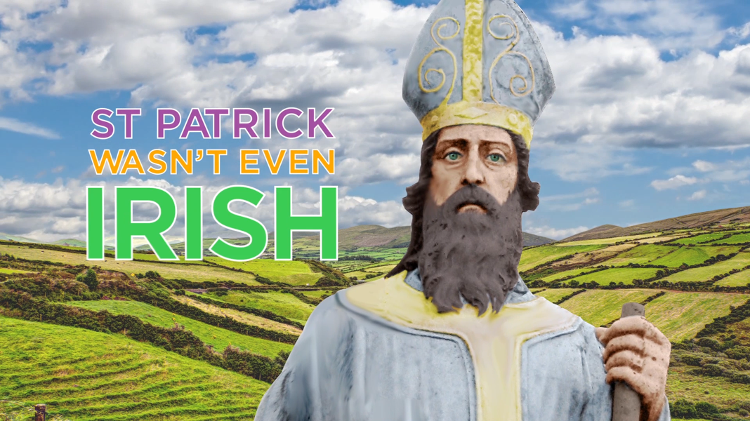 History Bet You Didn T Know Shanemcgill