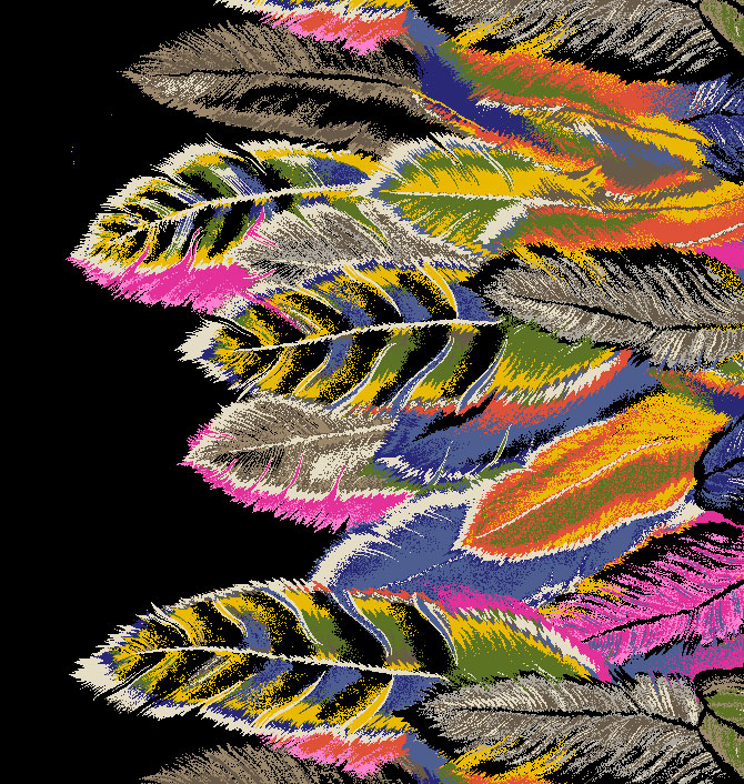 Fancy Feathers Amy Cunningham Fashion Graphics