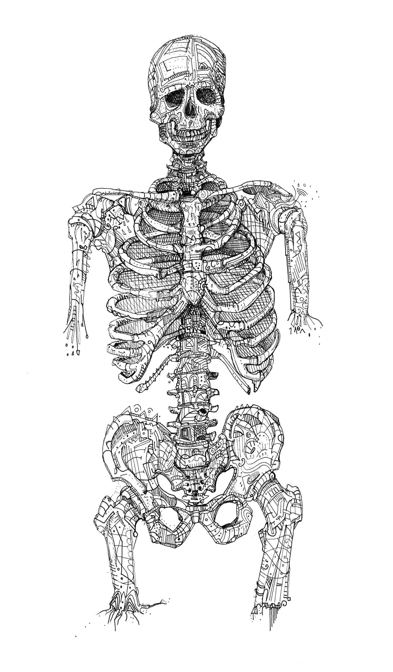 Anatomy Drawings - JoshuaTadMulligan.com