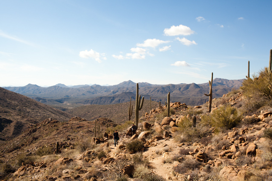 Tonto National Forest, Mesa, AZ.