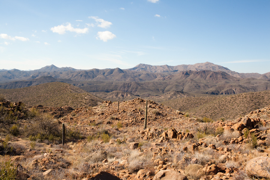 Tonto National Forest, Mesa, AZ.