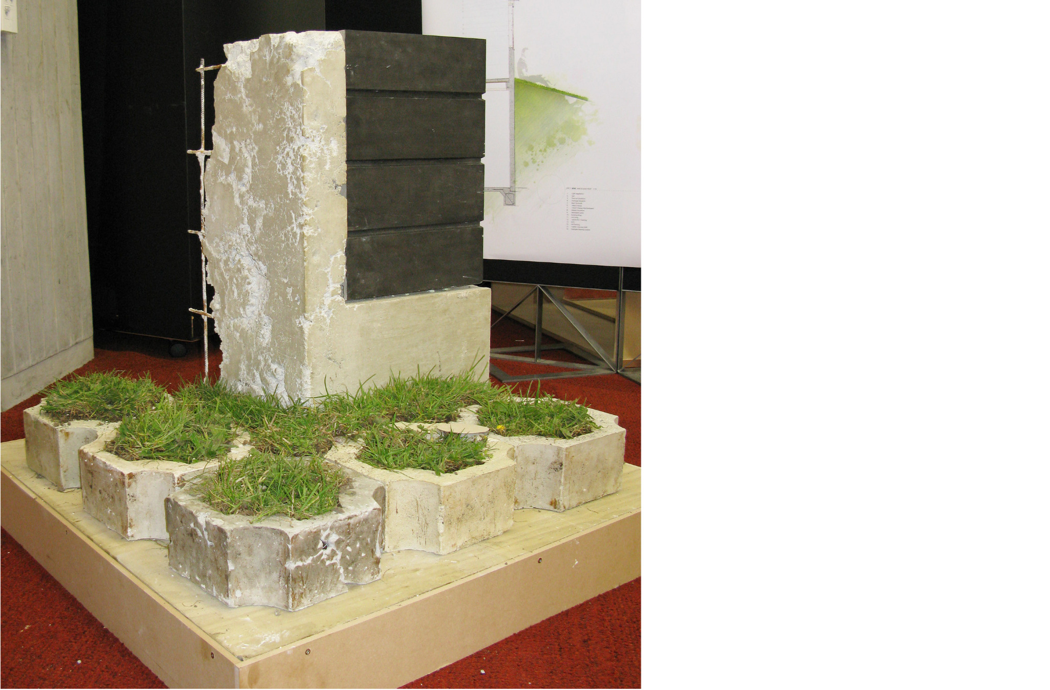 Glen Innes Social Housing Altaire Mandell