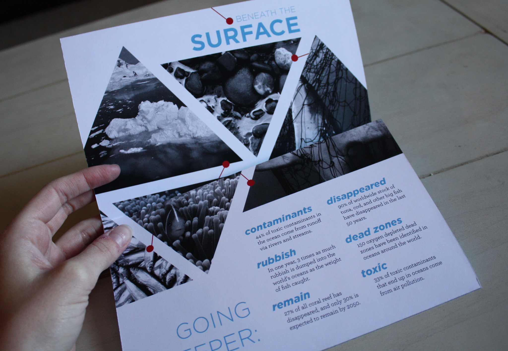 Blue Frontier Kristen West Design