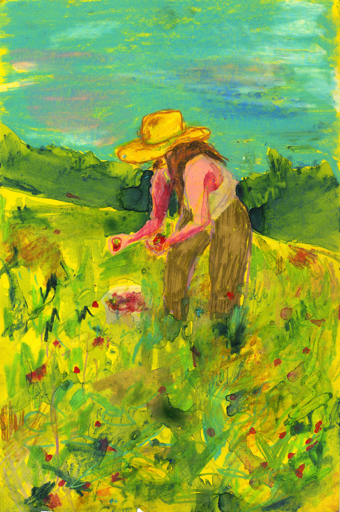 Berry Patch - Anna Wehrwein