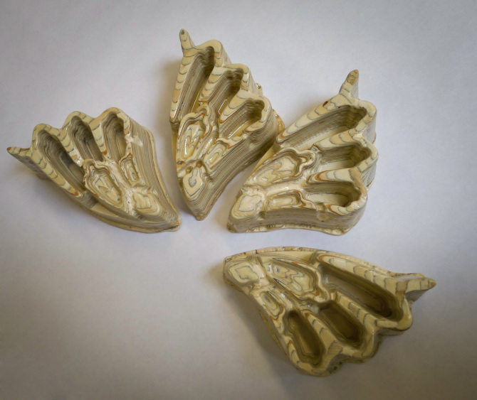 Digitally Generated Morphology - Doron Serban Design