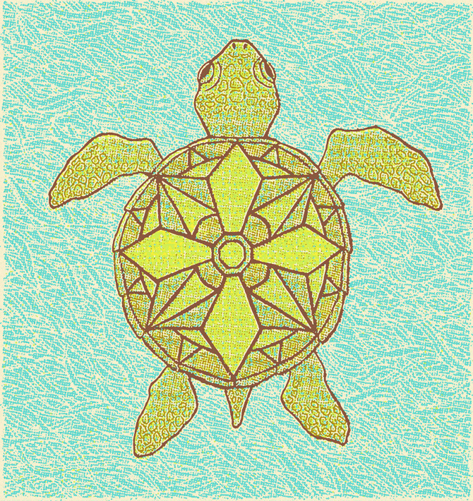 Compass Turtle Turtle Compass - Ashley Ross Illustration