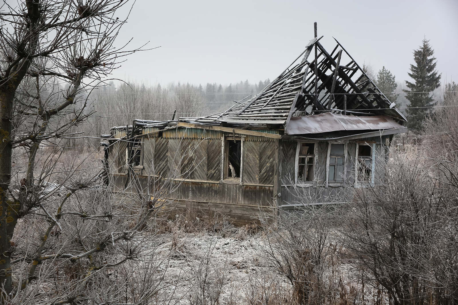 Ostov | Остов - Photographer Ivan Karpov