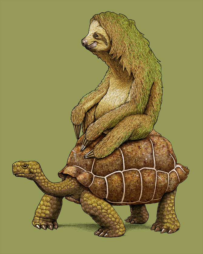 Download Billings josh For Free Billings Josh