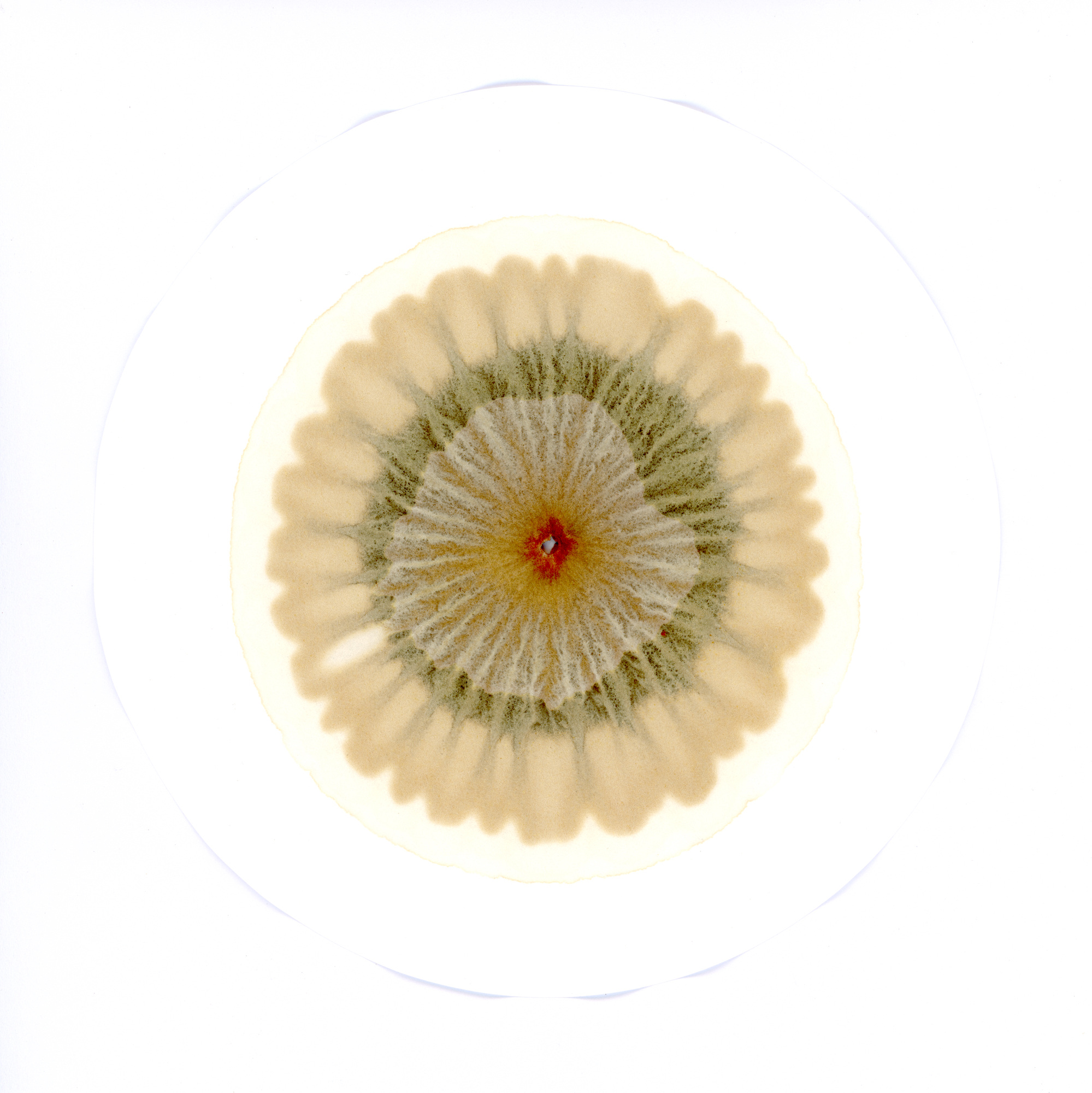 Soil Chromatography Scott Hunter