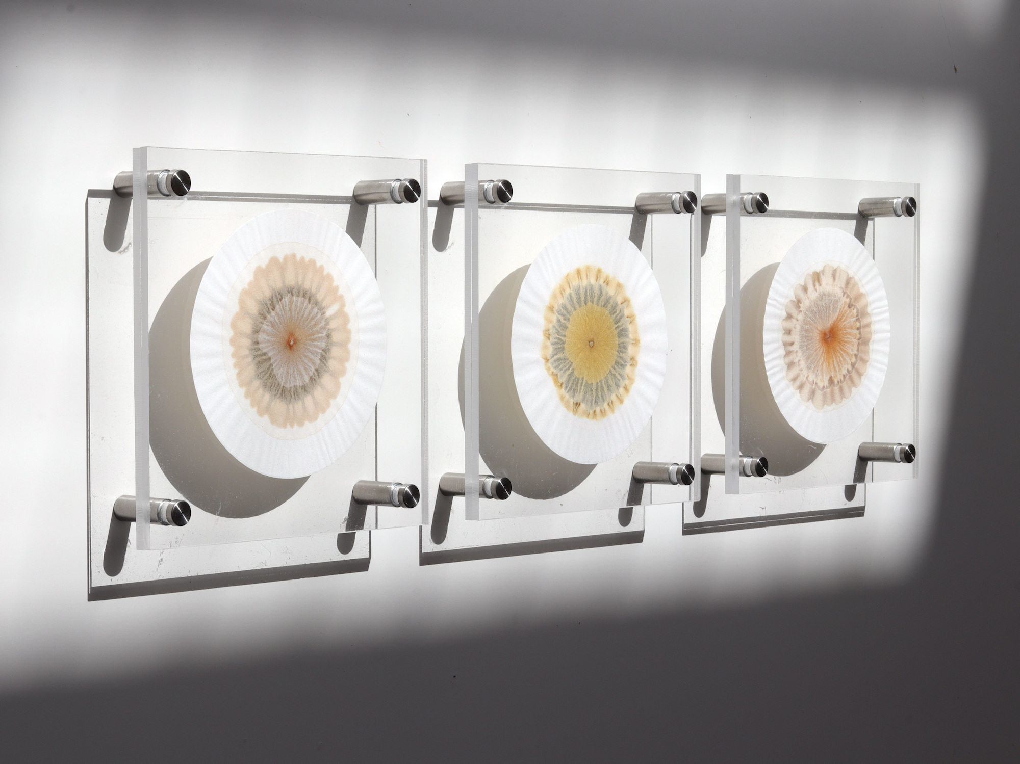 Soil Chromatography Scott Hunter