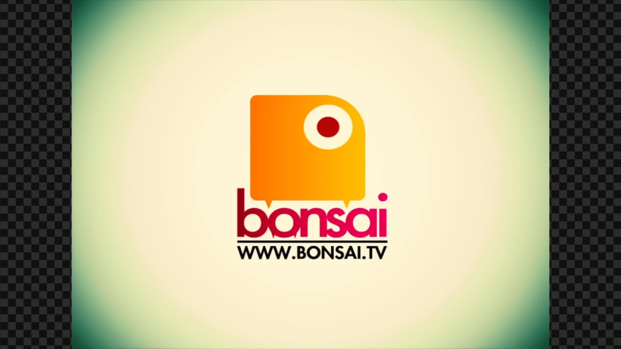 Bonsai tv / rebrand 2009 colorsynth