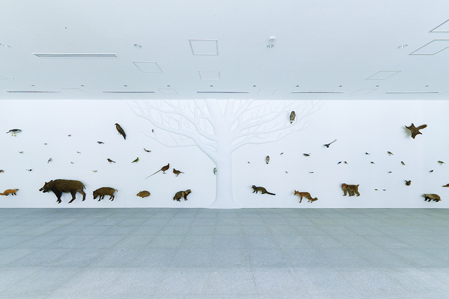海賊　ビジュアル博物館59巻 海賊 ビジュアル博物館59巻 アート・デザイン・音楽