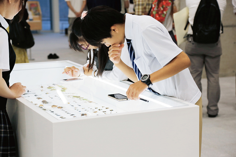 TAKAO 599 MUSEUM_2 - Daikoku Design Institute
