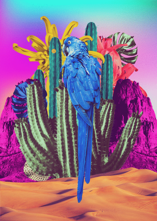 Redbull Music Academy Carolina Nino