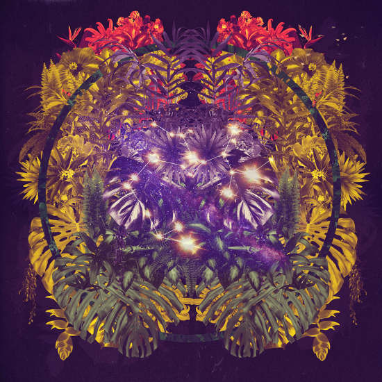 Lucid dreaming - Carolina Nino