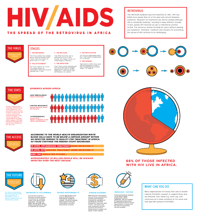 HIV AIDS Infographic Kate Nelson