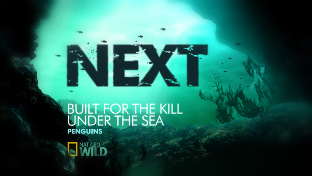 Nat Geo Wild - Ale Lan