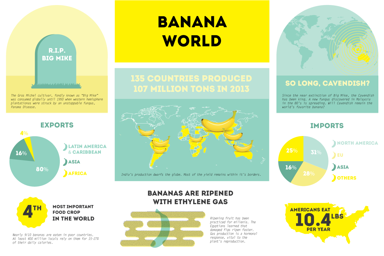 Banana World Dustin Davis