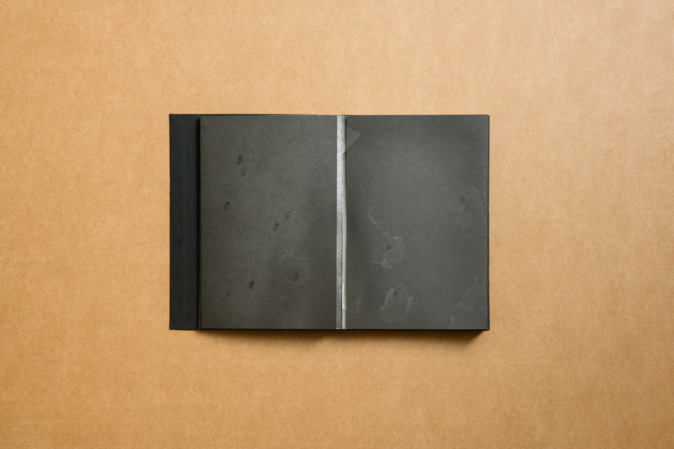 ALEX LLOVET photography