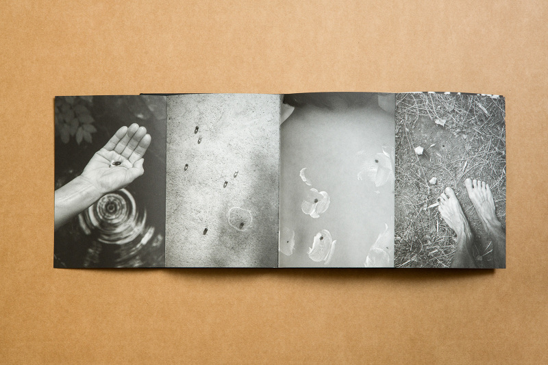 ALEX LLOVET photography