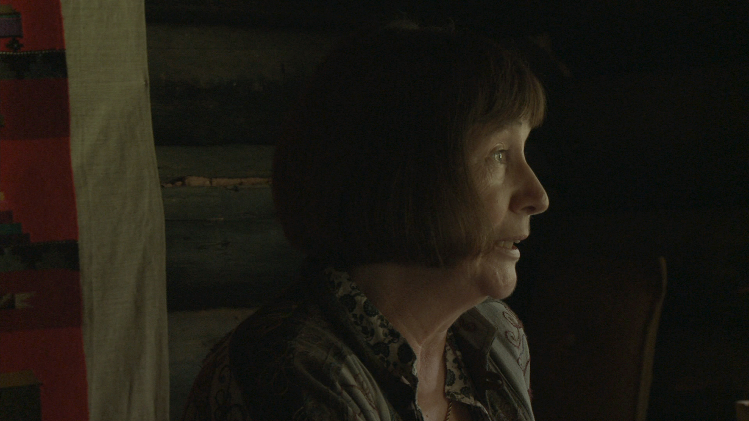 Documentary "The Kaplinski System" raphaelgianellimeriano