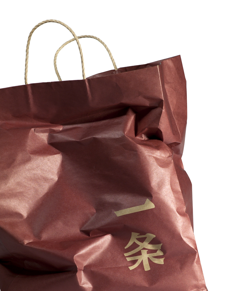 Urban Wisdom Advancing With CHINA 
