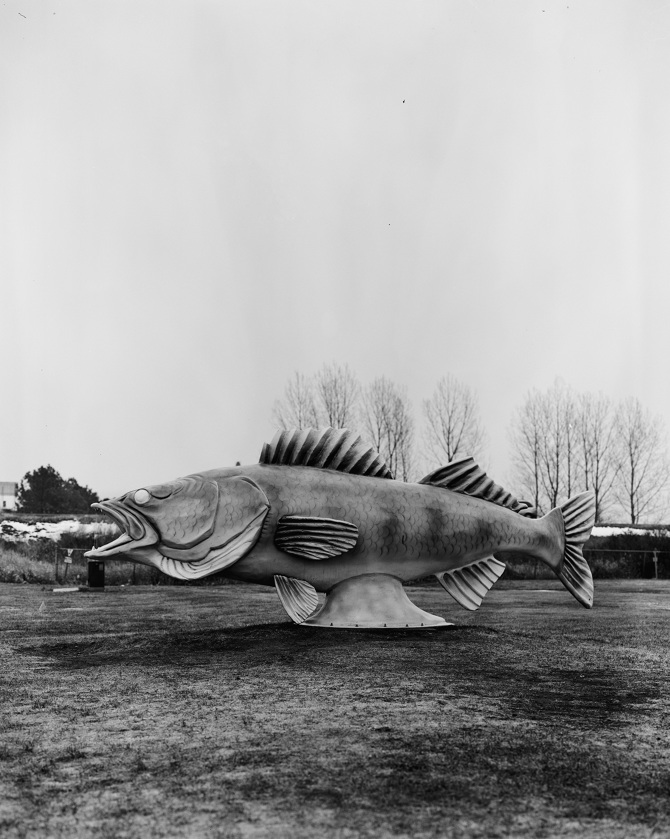 Fish Statue Rabat Reel Dreams - Josh Olson Photo