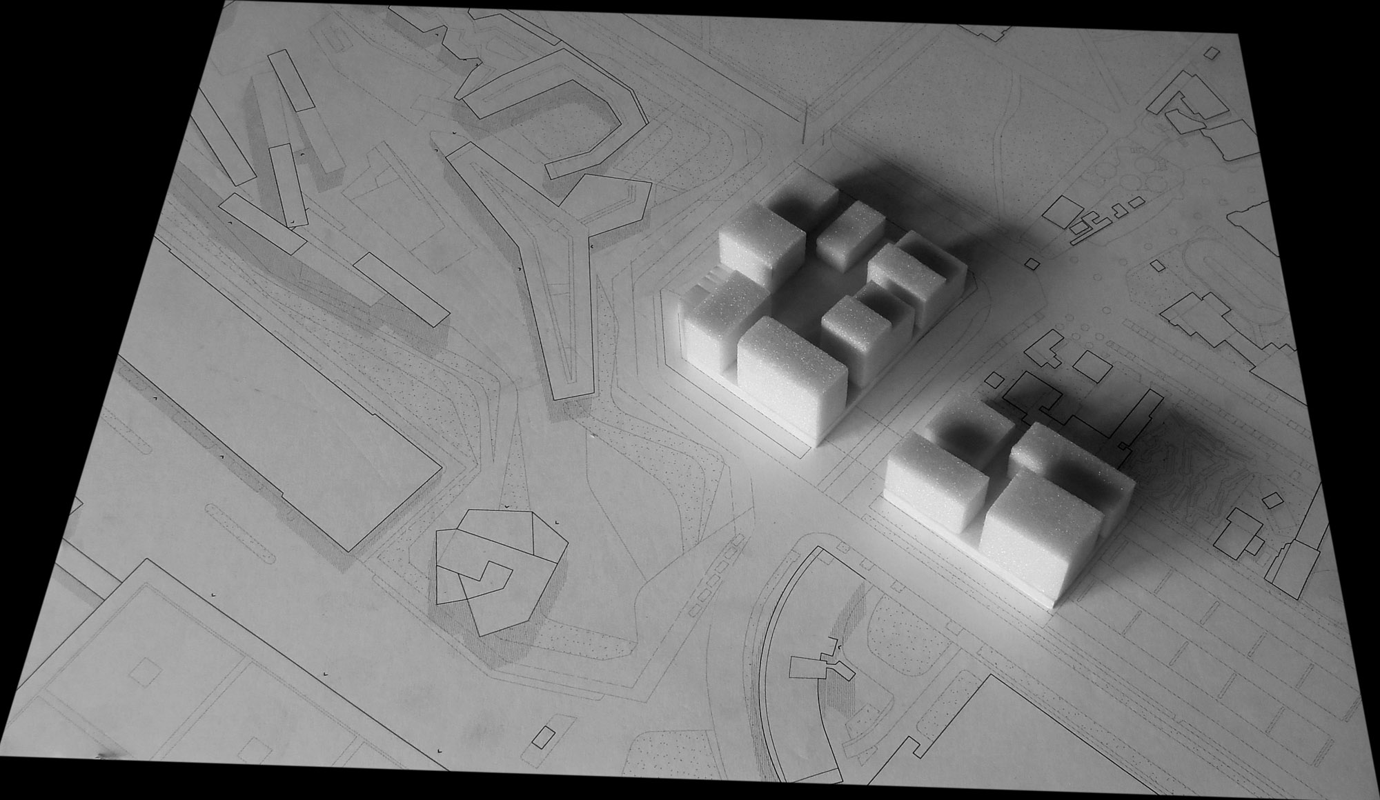 Sigmund Freud University, Vienna Cecily QuetinWeeks