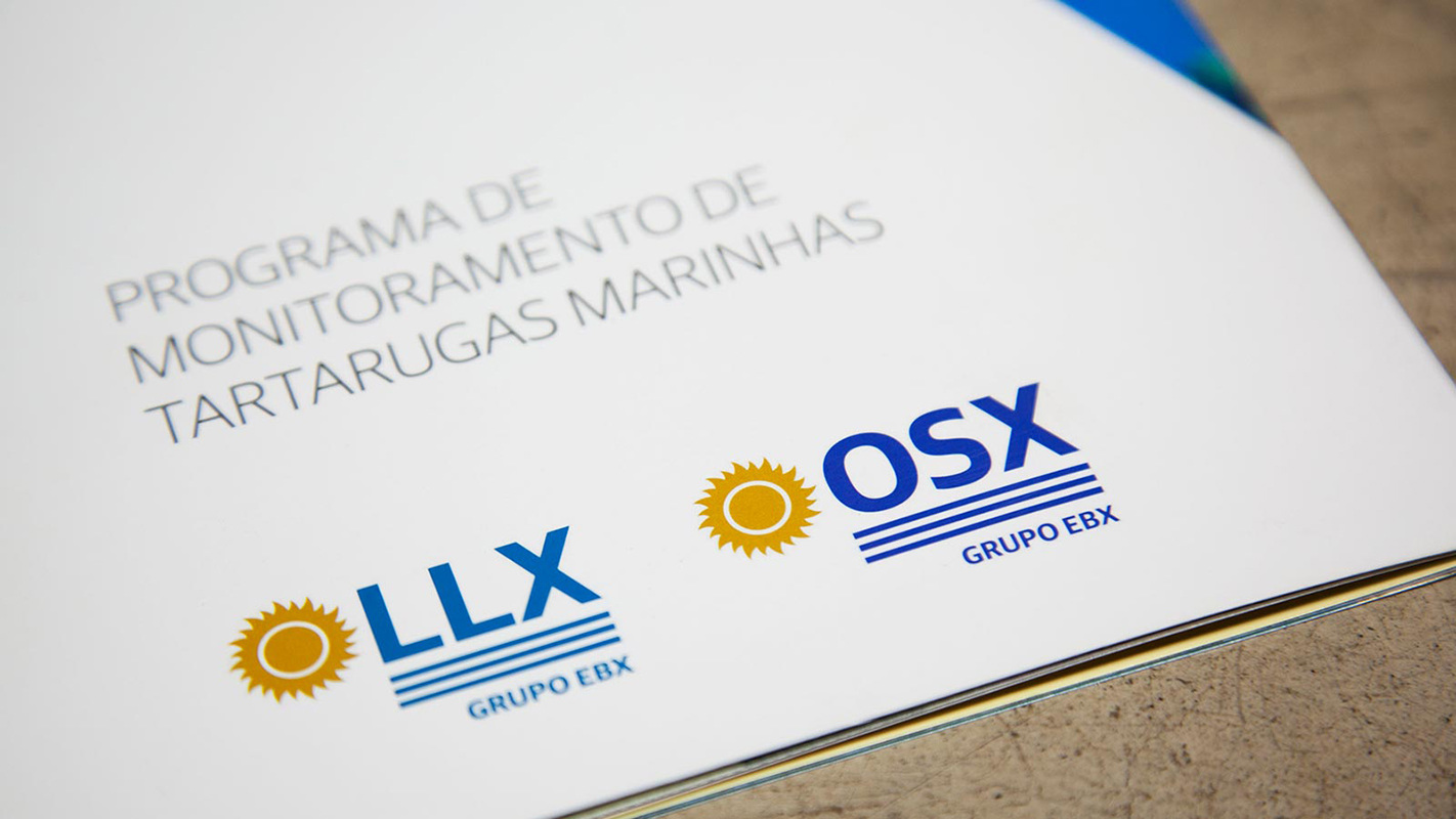 Grupo EBX Matheus Araújo