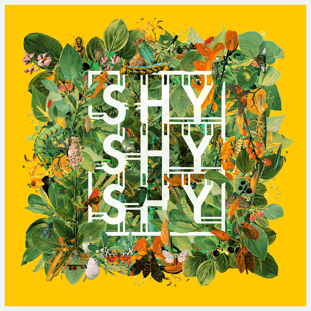 Shy Shy Shy Amanda Baum