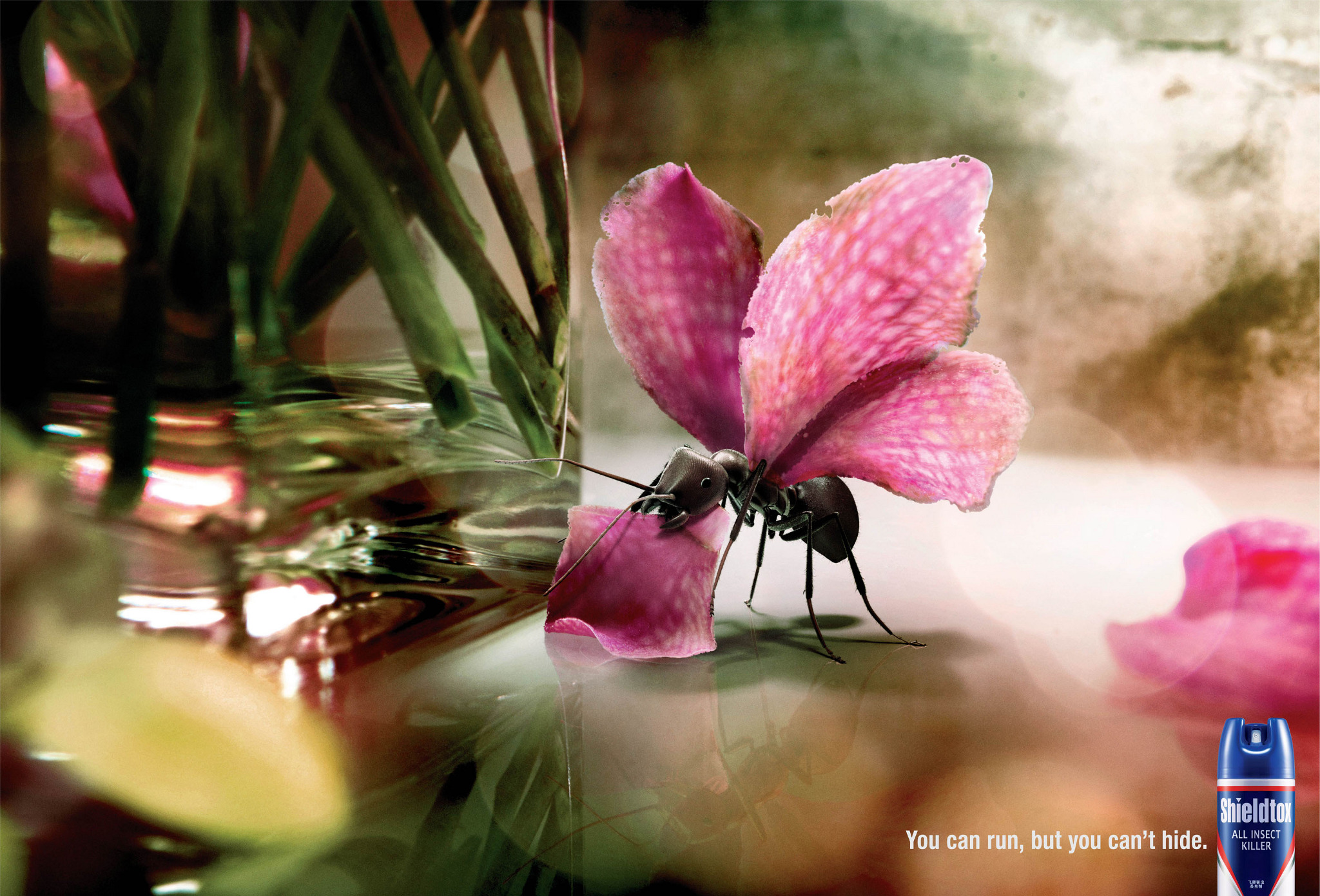 Shieldtox: Insects In Disguise - Work of Hans