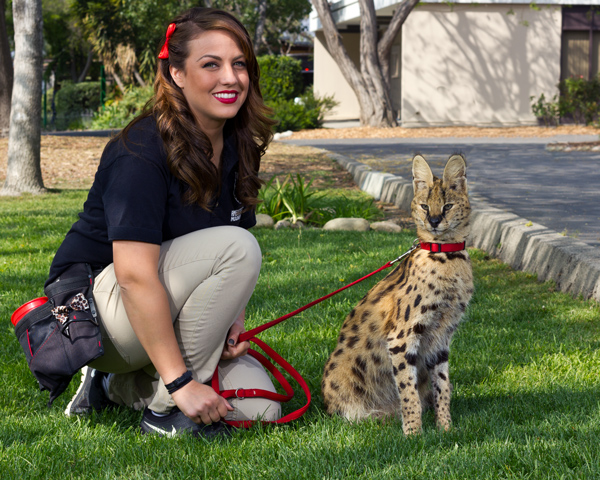 EATM: Animal Trainers - CB Photography EATM: Animal Trainers - CB Photography