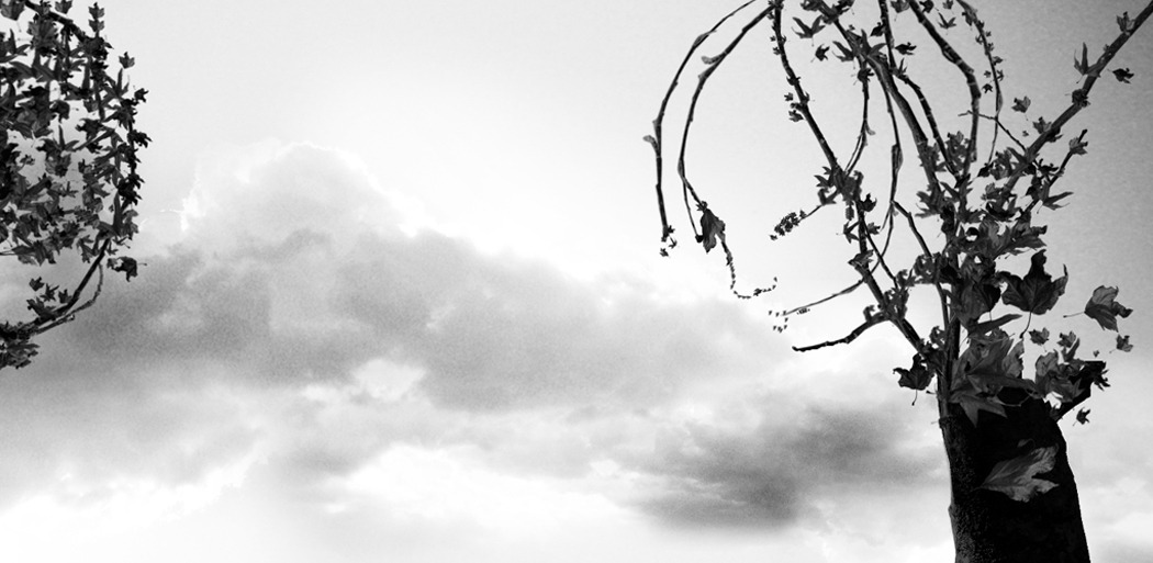 The "Black/White" Lauren Indovina