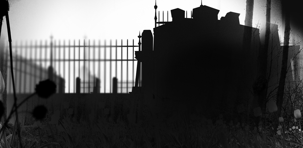 The "Black/White" Lauren Indovina